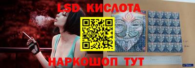 стаф Новодвинск