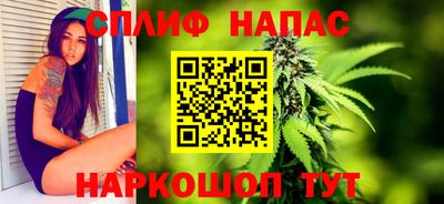 СК Новозыбков
