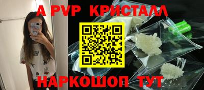 СК Новозыбков