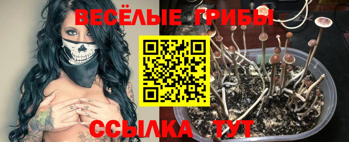 Галлюциногенные грибы прущие грибы  Галлюциногенные грибы GOLDEN TEACHER  Вход с VPN  Таганрог 