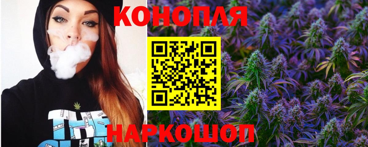 Конопля OG Kush Таганрог